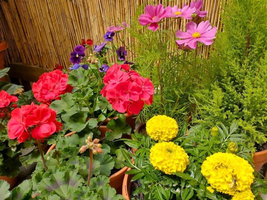 The Boutique York Garden Studio Zewnętrze zdjęcie